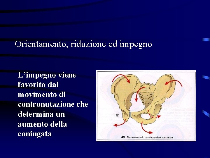 Orientamento, riduzione ed impegno L’impegno viene favorito dal movimento di contronutazione che determina un