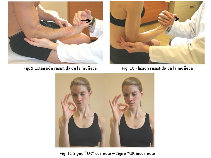 Fig. 9 Extensión resistida de la muñeca Fig. 10 Flexión resistida de la muñeca Fig. 9 Extensión resistida de la muñeca Fig. 10 Flexión resistida de la muñeca