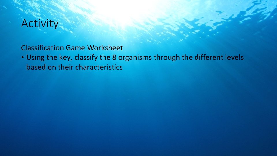 Activity Classification Game Worksheet • Using the key, classify the 8 organisms through the