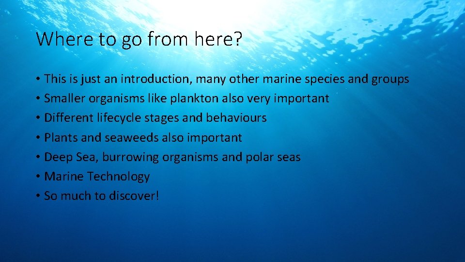 Where to go from here? • This is just an introduction, many other marine