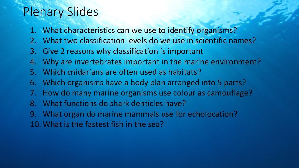 Plenary Slides 1. What characteristics can we use to identify organisms? 2. What two