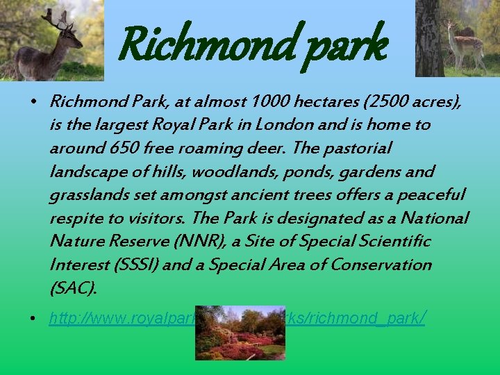 Richmond park • Richmond Park, at almost 1000 hectares (2500 acres), is the largest