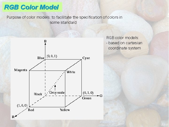 RGB Color Model Purpose of color models: to facilitate the specification of colors in