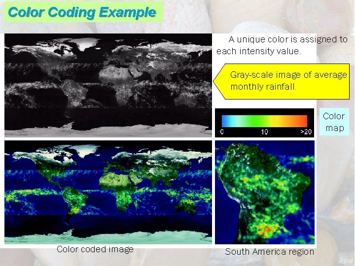 Color Coding Example A unique color is assigned to each intensity value. Gray-scale image