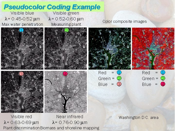 Pseudocolor Coding Example Visible blue l= 0. 45 -0. 52 mm Visible green l=