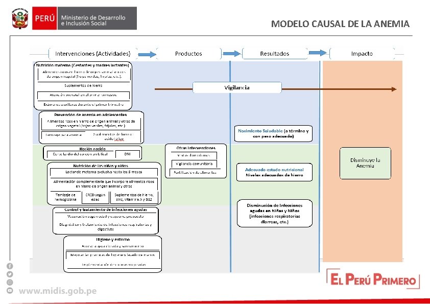 MODELO CAUSAL DE LA ANEMIA 