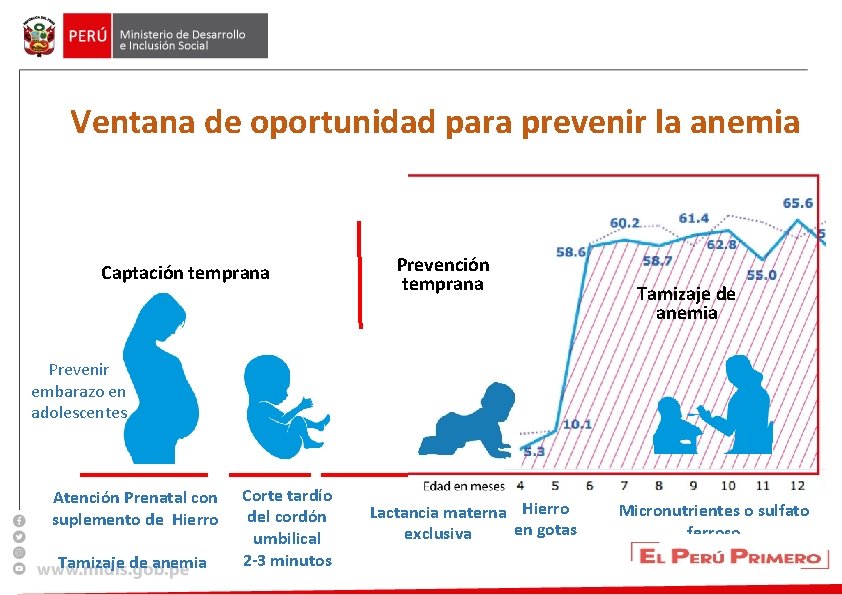 Ventana de oportunidad para prevenir la anemia Captación temprana Prevención temprana Tamizaje de anemia