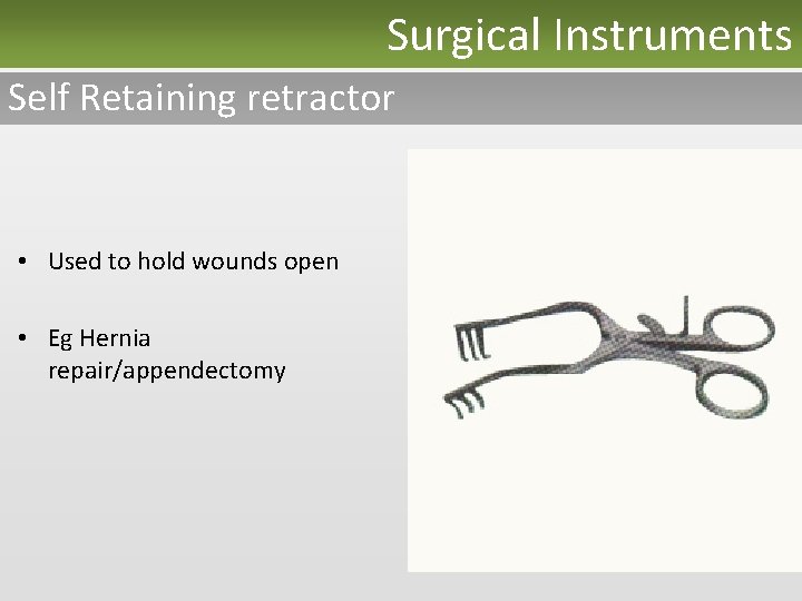 Surgical Instruments Self Retaining retractor • Used to hold wounds open • Eg Hernia