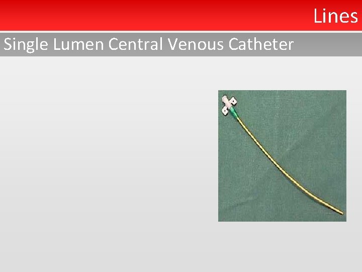 Lines Single Lumen Central Venous Catheter 