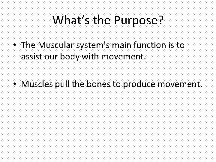 What’s the Purpose? • The Muscular system’s main function is to assist our body