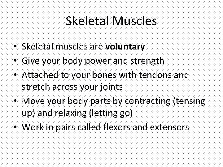 Skeletal Muscles • Skeletal muscles are voluntary • Give your body power and strength