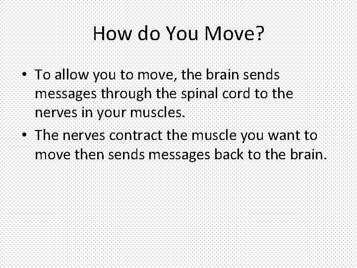 How do You Move? • To allow you to move, the brain sends messages