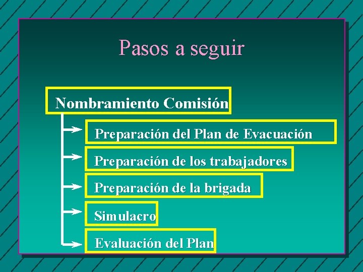 Pasos a seguir Nombramiento Comisión Preparación del Plan de Evacuación Preparación de los trabajadores