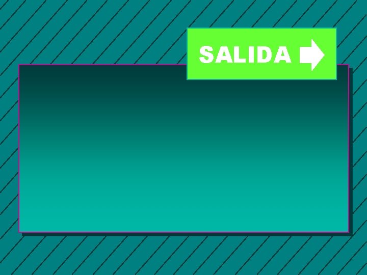 SALIDA 