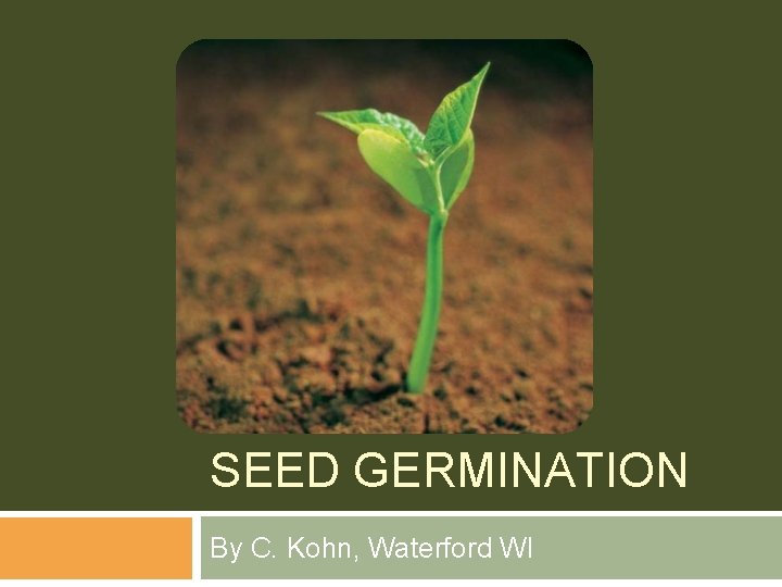 SEED GERMINATION By C. Kohn, Waterford WI 