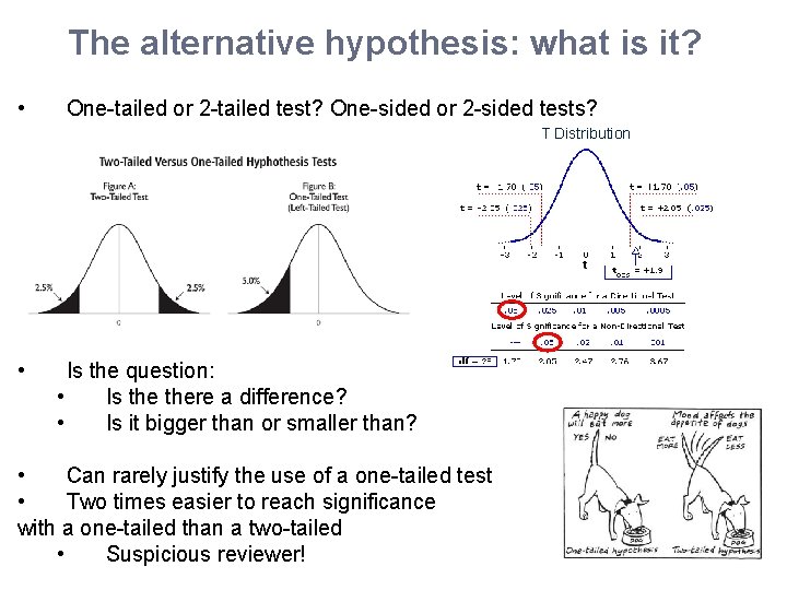 The alternative hypothesis: what is it? • One-tailed or 2 -tailed test? One-sided or