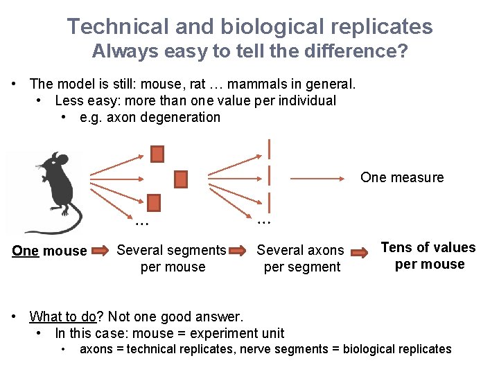 Technical and biological replicates Always easy to tell the difference? • The model is