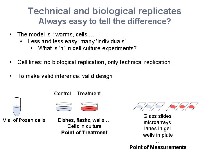 Technical and biological replicates Always easy to tell the difference? • The model is