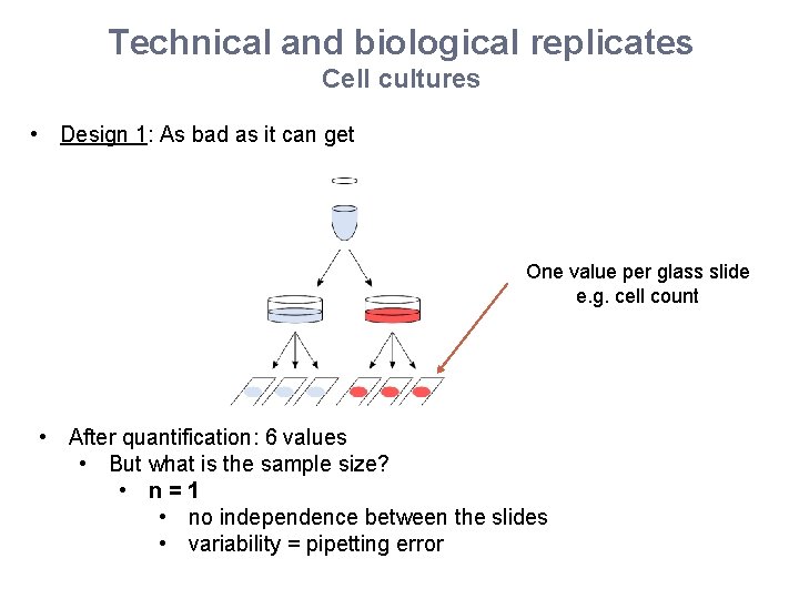 Technical and biological replicates Cell cultures • Design 1: As bad as it can
