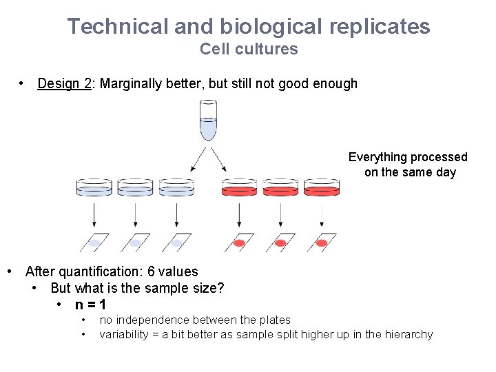 Technical and biological replicates Cell cultures • Design 2: Marginally better, but still not