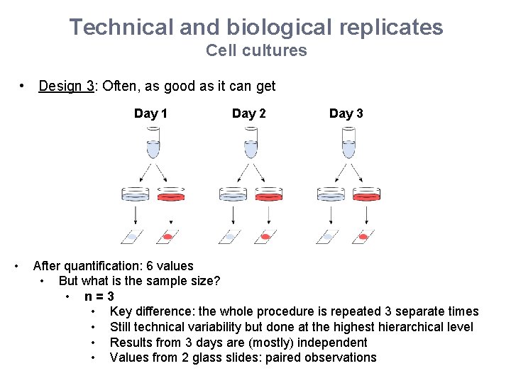 Technical and biological replicates Cell cultures • Design 3: Often, as good as it