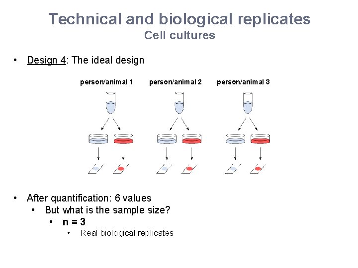 Technical and biological replicates Cell cultures • Design 4: The ideal design person/animal 1