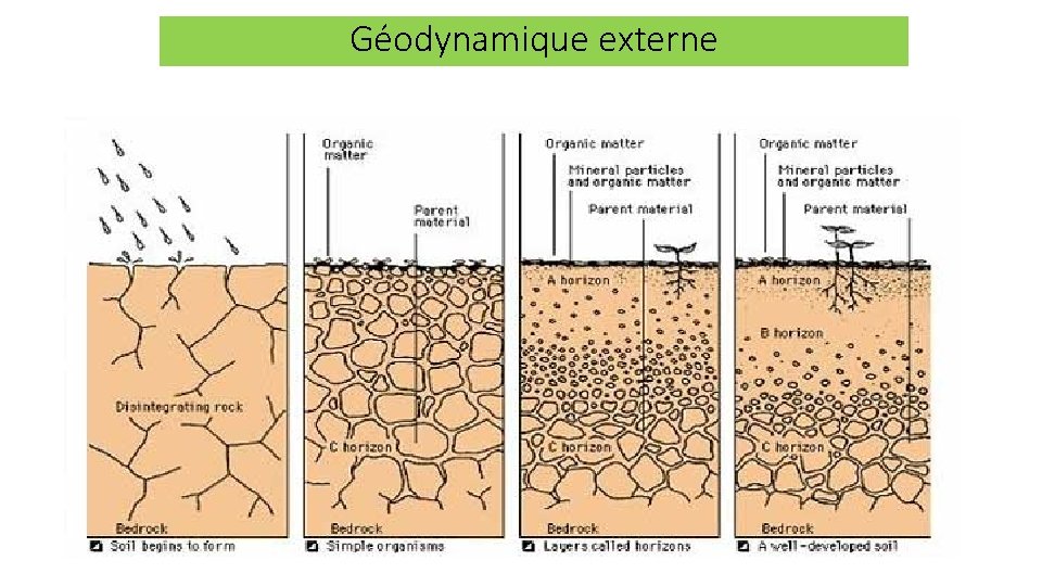 Géodynamique externe 