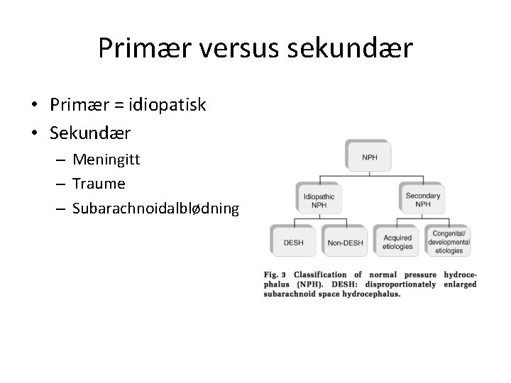 Primær versus sekundær • Primær = idiopatisk • Sekundær – Meningitt – Traume –