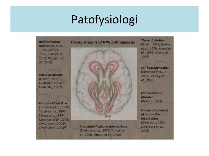 Patofysiologi 