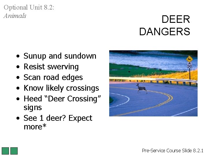 Optional Unit 8. 2: Animals DEER DANGERS • • • Sunup and sundown Resist Optional Unit 8. 2: Animals DEER DANGERS • • • Sunup and sundown Resist
