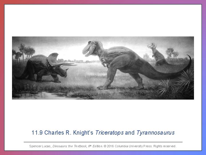 11. 9 Charles R. Knight’s Triceratops and Tyrannosaurus Spencer Lucas, Dinosaurs: the Textbook, 6