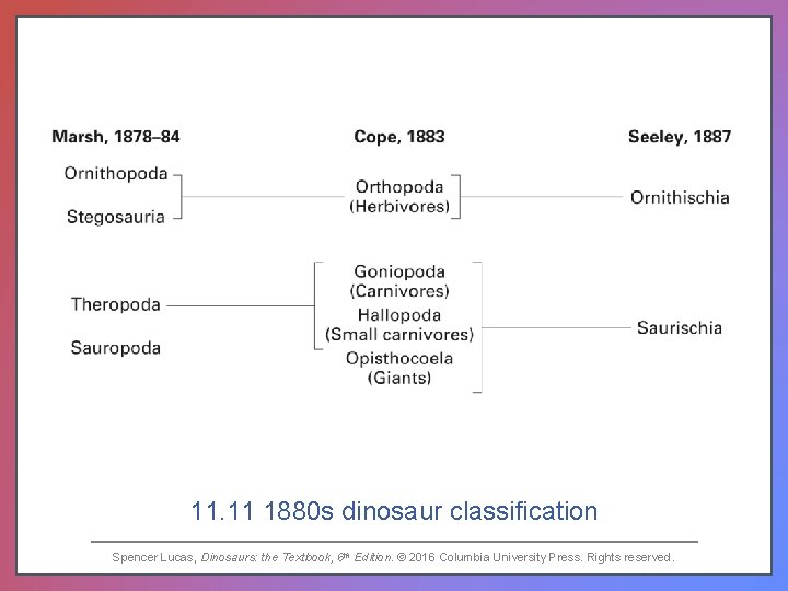 11. 11 1880 s dinosaur classification Spencer Lucas, Dinosaurs: the Textbook, 6 th Edition.