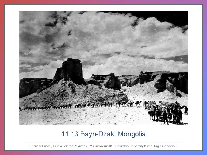 11. 13 Bayn-Dzak, Mongolia Spencer Lucas, Dinosaurs: the Textbook, 6 th Edition. © 2016