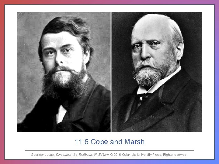 11. 6 Cope and Marsh Spencer Lucas, Dinosaurs: the Textbook, 6 th Edition. ©