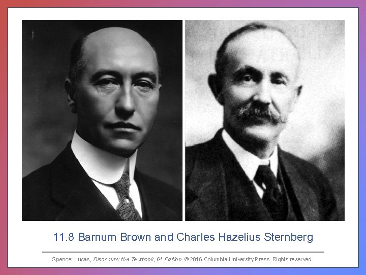11. 8 Barnum Brown and Charles Hazelius Sternberg Spencer Lucas, Dinosaurs: the Textbook, 6