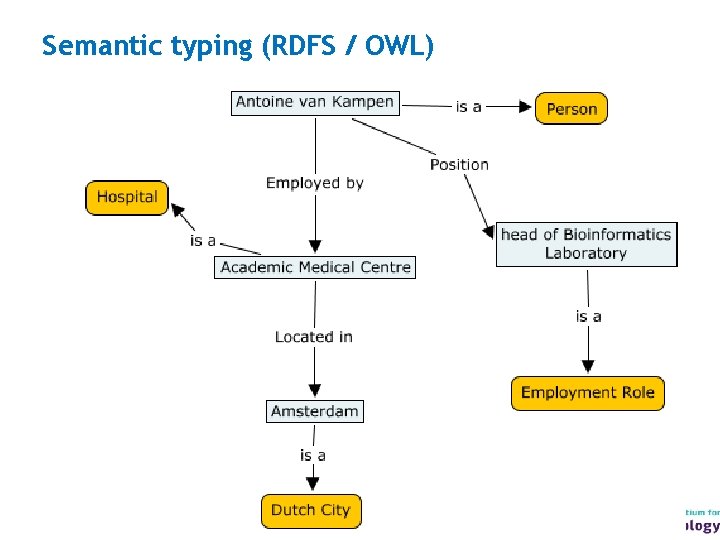 Semantic typing (RDFS / OWL) 