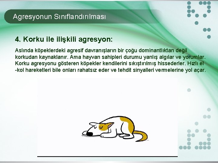 Agresyonun Sınıflandırılması 4. Korku ile ilişkili agresyon: Aslında köpeklerdeki agresif davranışların bir çoğu dominantlıktan