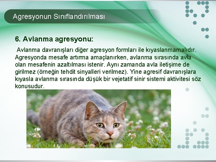 Agresyonun Sınıflandırılması 6. Avlanma agresyonu: Avlanma davranışları diğer agresyon formları ile kıyaslanmamalıdır. Agresyonda mesafe