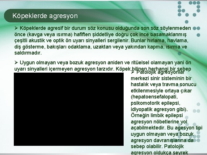 Köpeklerde agresyon Ø Köpeklerde agresif bir durum söz konusu olduğunda son söz söylenmeden önce