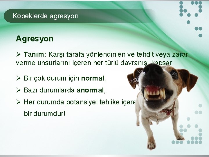 Köpeklerde agresyon Agresyon Ø Tanım: Karşı tarafa yönlendirilen ve tehdit veya zarar verme unsurlarını