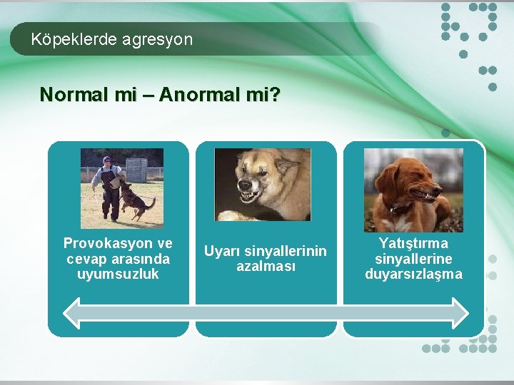 Köpeklerde agresyon Normal mi – Anormal mi? Provokasyon ve cevap arasında uyumsuzluk Uyarı sinyallerinin