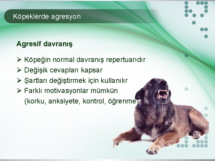 Köpeklerde agresyon Agresif davranış Ø Köpeğin normal davranış repertuarıdır Ø Değişik cevapları kapsar Ø