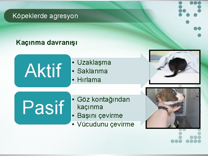 Köpeklerde agresyon Kaçınma davranışı Aktif Pasif • Uzaklaşma • Saklanma • Hırlama • Göz