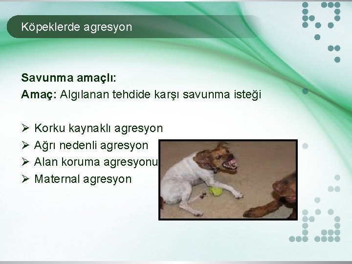 Köpeklerde agresyon Savunma amaçlı: Amaç: Algılanan tehdide karşı savunma isteği Ø Ø Korku kaynaklı