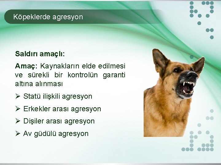 Köpeklerde agresyon Saldırı amaçlı: Amaç: Kaynakların elde edilmesi ve sürekli bir kontrolün garanti altına