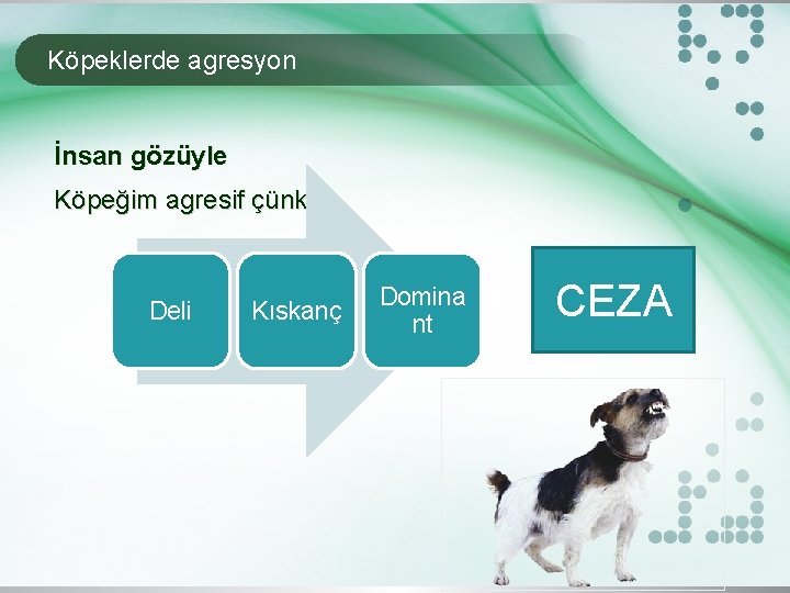 Köpeklerde agresyon İnsan gözüyle Köpeğim agresif çünkü: Deli Kıskanç Domina nt CEZA 