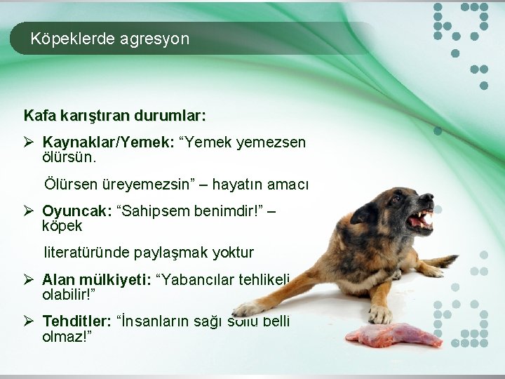 Köpeklerde agresyon Kafa karıştıran durumlar: Ø Kaynaklar/Yemek: “Yemek yemezsen ölürsün. Ölürsen üreyemezsin” – hayatın