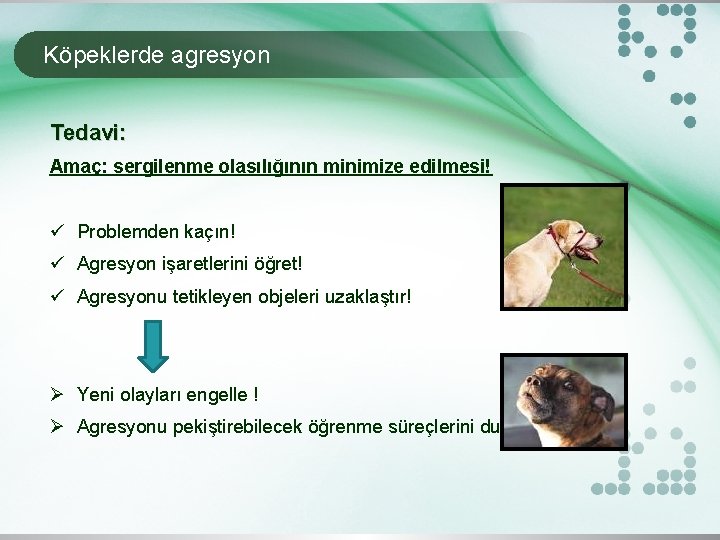 Köpeklerde agresyon Tedavi: Amaç: sergilenme olasılığının minimize edilmesi! ü Problemden kaçın! ü Agresyon işaretlerini