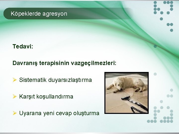 Köpeklerde agresyon Tedavi: Davranış terapisinin vazgeçilmezleri: Ø Sistematik duyarsızlaştırma Ø Karşıt koşullandırma Ø Uyarana