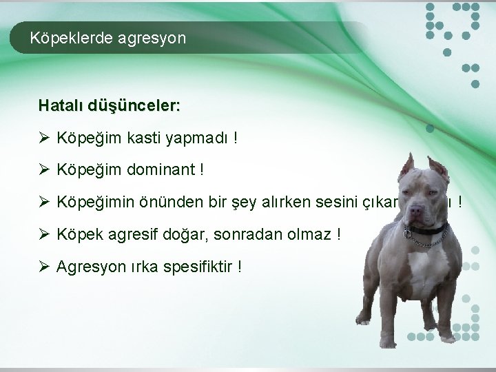 Köpeklerde agresyon Hatalı düşünceler: Ø Köpeğim kasti yapmadı ! Ø Köpeğim dominant ! Ø